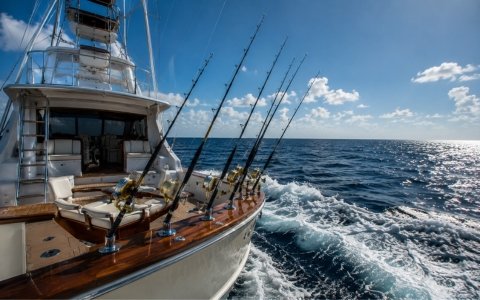 Private fishing boat for a fishing trip in Abu Dhabi
