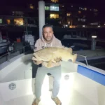 Hamour on an evening trip on Panda 1