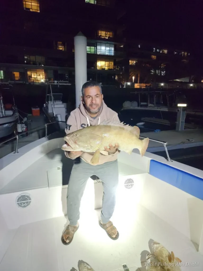 Hamour on an evening trip on Panda 1