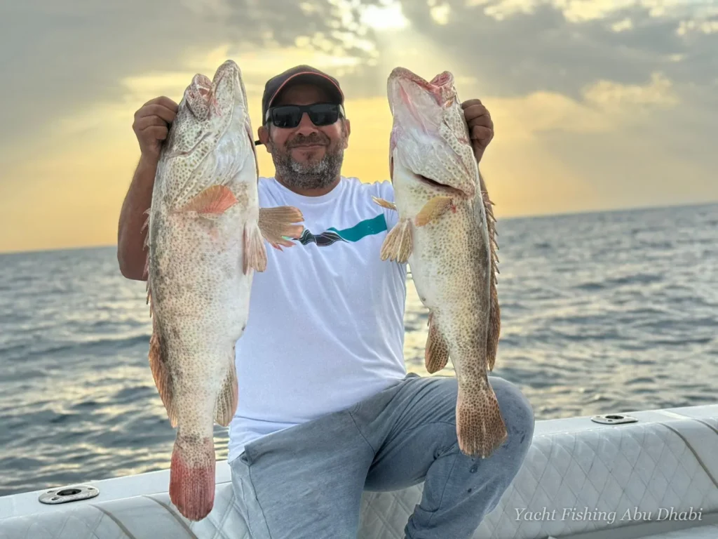 Two hamour caught on Panda 1, Abu Dhabi