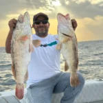 Two hamour caught on Panda 1, Abu Dhabi