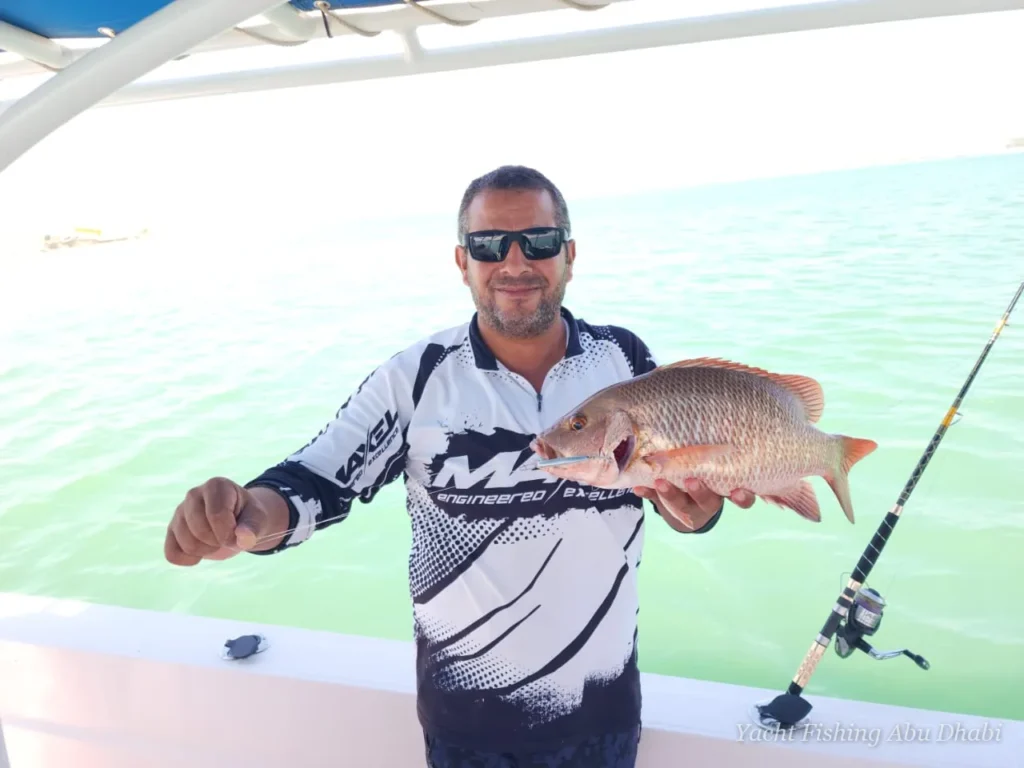 Snapper caught on a Panda 1 fishing trip