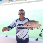 Snapper caught on a Panda 1 fishing trip
